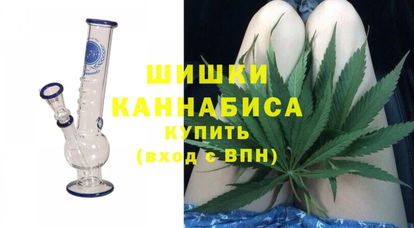 ГАЛЛЮЦИНОГЕННЫЕ ГРИБЫ Гусь-Хрустальный