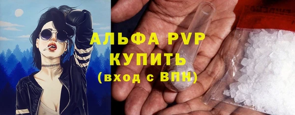 ГАЛЛЮЦИНОГЕННЫЕ ГРИБЫ Гусь-Хрустальный