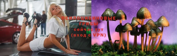 ГАЛЛЮЦИНОГЕННЫЕ ГРИБЫ Гусь-Хрустальный