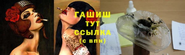 ГАЛЛЮЦИНОГЕННЫЕ ГРИБЫ Гусь-Хрустальный