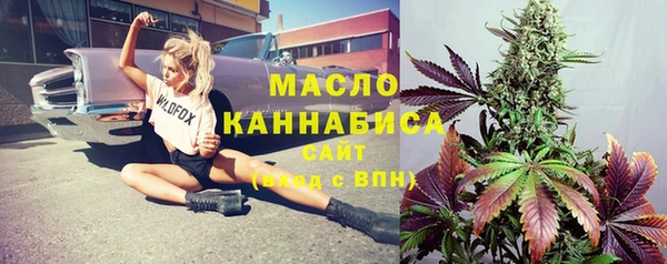 ГАЛЛЮЦИНОГЕННЫЕ ГРИБЫ Гусь-Хрустальный
