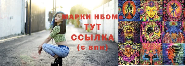 ГАЛЛЮЦИНОГЕННЫЕ ГРИБЫ Гусь-Хрустальный