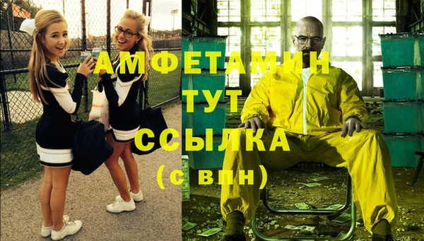 ГАЛЛЮЦИНОГЕННЫЕ ГРИБЫ Гусь-Хрустальный