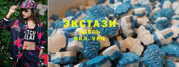 ГАЛЛЮЦИНОГЕННЫЕ ГРИБЫ Гусь-Хрустальный